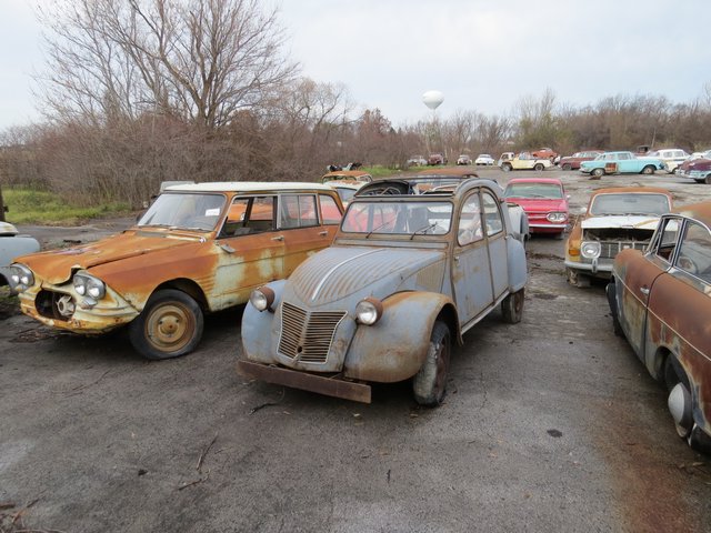 Colección Hackenberger