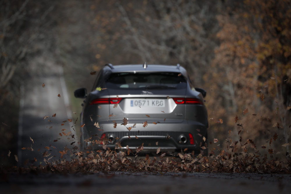 Goodyear Vector 4Seasons