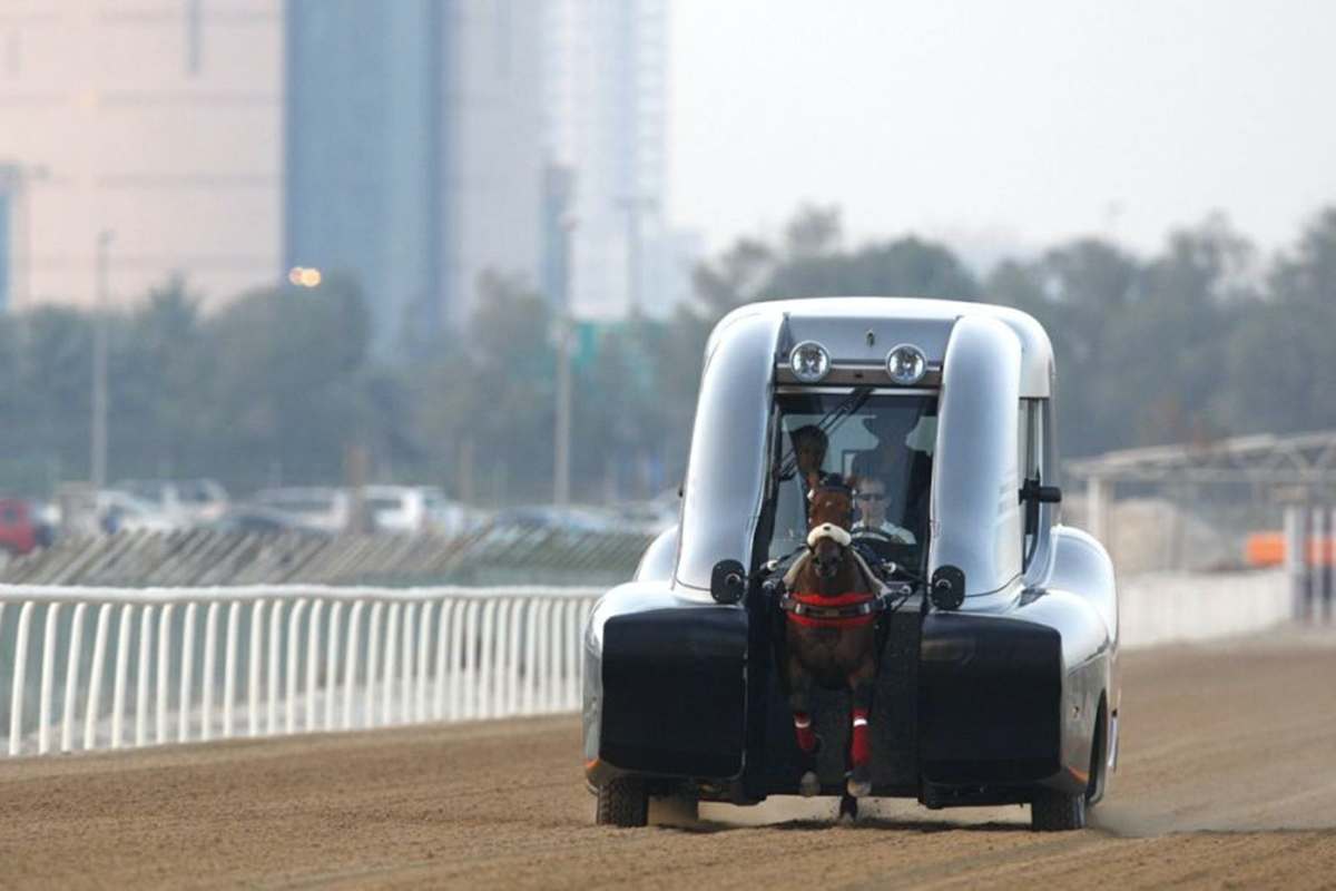 roush-vehiculo-entrenamiento-caballos