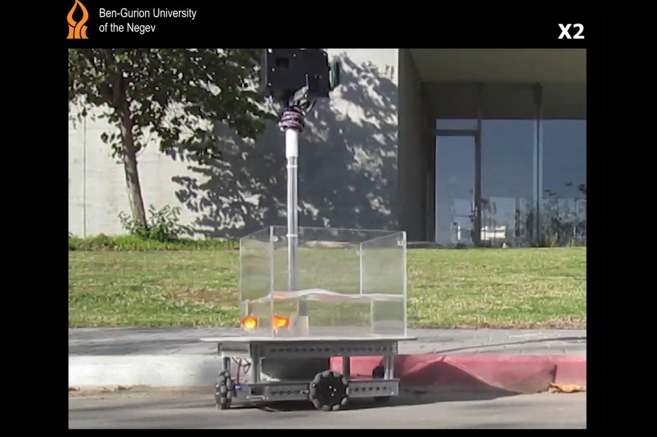 enseñan a conducir a un pez