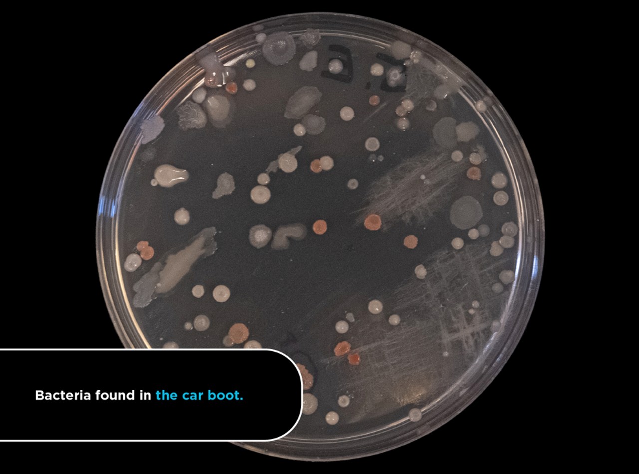 interior coche sucio inodoro