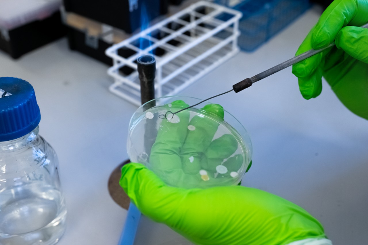 interior coche sucio inodoro